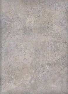 Faux Wallpaper / Silver and Gold Metallic Faux Crackle Sidewall