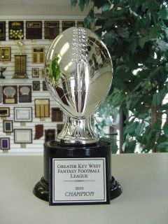 AWESOME FANTASY FOOTBALL TROPHY AWARD SILVER RESIN NEW