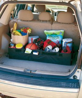 TRUNK Organizer for Video Games Ipod DVDs CD Tools Emergency Food