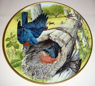 Birds Of Countrside EASTERN BLUEBIRD National Audubon Society Plate