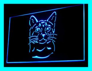210078B Bengal Cat Pet Shop Kittens Noble Purebred Display LED Light