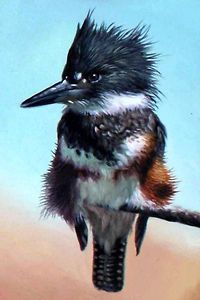 Coalburn equine art silver kingfisher waterfowl bird wildlife hat pin