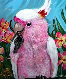 MITCHELLS COCKATOO GICLEE Painting Pink PARROT Bird Jungle Pet