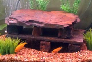 tank Cave rock Montana slate cichlid aquarium decoration fish reptile