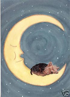 Newly listed Yorkshire Terrier (Yorkie) sleeping on the moon / Lynch