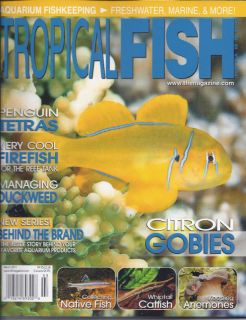 FISH MAGAZINE CITRON GOBIES PENGUIN TETRAS FIREFISH DUCKWEED CATFISH