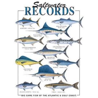 Saltwater Records Marlin Albacore Catch Lure Bait Boat Sea Ocean
