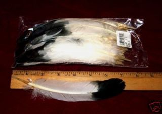 Imitation Eagle Feathers Pack of 100 5 7 Black tip