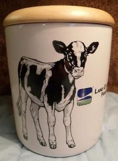 Newly listed Cow Canister   Plastic Canvas Pattern