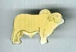Vintage Brahma Bull Cow Cattle Pin (ow)