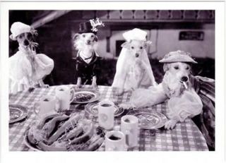 Dressed Dogs at Table with Coffee and Cigarettes Postcard