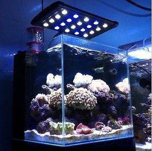 Clip clamp 3W Timer LED Aquarium Light Nano Marine Coral Reef 20x 3W