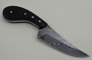 ColdLand  CUSTOM HANDMADE DAMASCUS HUNTING Skinner KNIFE Buffalo Horn