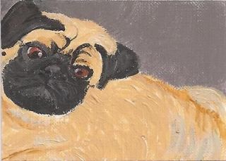 Cute Original ACEO Fawn Pug Dog Art ~ Darlene Howell