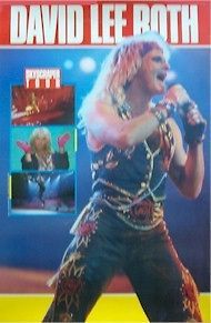 DAVID LEE ROTH ~ SKYSCRAPER TOUR POSTER 23x35 Music Van Halen