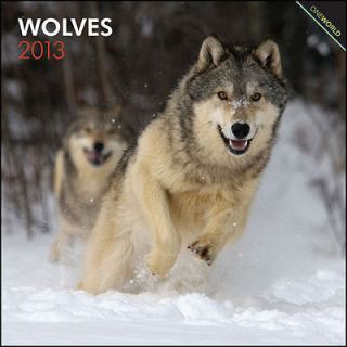 Wolves 2013 Wall Calendar