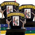 Frame & Ranking Belt Display Champion Karate or Tae Kwon Do Style