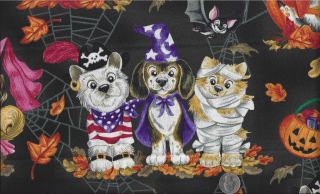 Halloween Costume Dogs Pug Witch, Puppy Princess, Pirate I Spy BTY