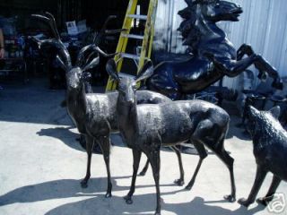 Two Wonderful Looking Deer, 1 Buck, 1 Doe, Lovely Set