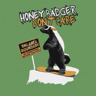Badger Snowboarding T Shirt S M L XL 2XL Funny Meme Ski Dont Care