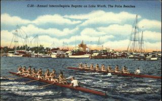 Lake Worth FL Annual Intercollegiat e Regatta Scull Boats Postcard