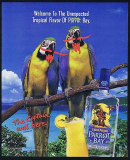 2000 Captain Morgans Parrot Bay Puerto Rican Rum Magazine Print Ad