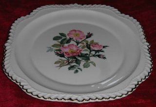 Pottery Co Dinner Plate 22 KT Gold Beach Rose Porcelain Ceramic Dish
