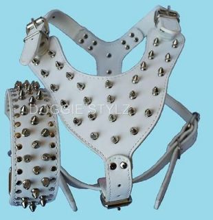 White Leather Dog Harness & Collar SET spike studs Pit bull Rottweiler