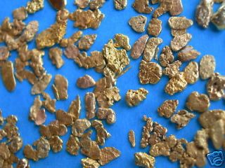lbs Montana gold nugget panning paydirt Prospecting