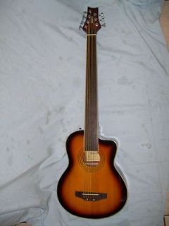 Fretless Electric and Acoustic Bass Guitar, 7 string with equalizer
