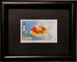 0905   Framed Postatge Stamp Art   Red cap oranda goldfish   Gift with