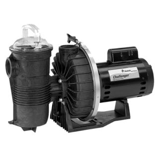 Pentair 342234 Challenger 115/230V SingleSpeed High Flow Pool Pump, 1.0 HP Full Rated