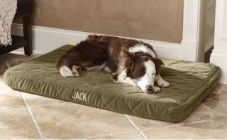 Dream Lounger Dog Bed Cover / Large, Sage,