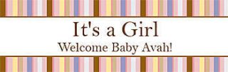 Sweet Baby Girl Personalized Self Adhesive Vinyl Banner    24 x 72 Inches, Orange, Red, White