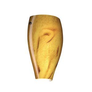 Besa Lighting BEL 7043HV LED BR Chelsea Wall Sconce