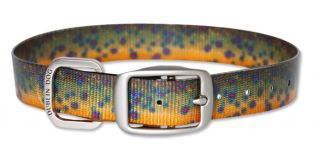 No Stink Trout print Dog Collars / Large, Brook Trout, Large
