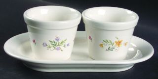 Pfaltzgraff Meadow Lane Herb Pots with Tray (2 Pots and 1 Tray), Fine China Dinn
