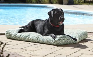 Watershed Classic Outdoor Dog Bed / Large Dog Bed   Dogs 70 100 Lbs., Pacific ,