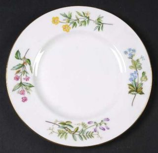 Minton Meadow Smooth Salad Plate, Fine China Dinnerware   Multicolor Flowers,Smo