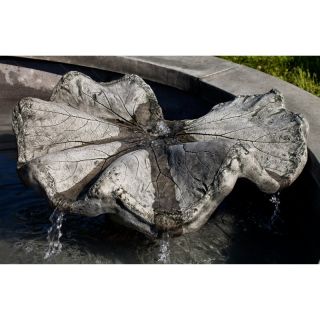 Campania International Leaf Sculpture Water Spiller   Large   W 100   NATURAL