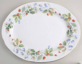 Duchess Strawberry Fields 13 Oval Serving Platter, Fine China Dinnerware   Red