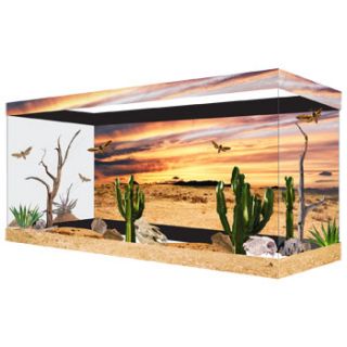 Desert Sunset Reusable Glass Tank Background, 29.5 L X 11 H