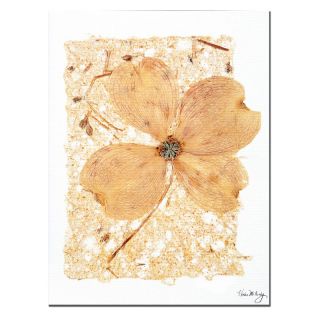 Trademark Global Inc Dogwood on Paper Wall Art by Kathie McCurdy Multicolor  