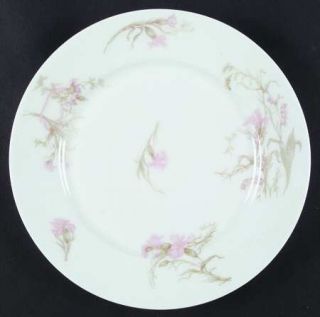 Haviland Schleiger 472f Dinner Plate, Fine China Dinnerware   H&Co,Smooth Blank,