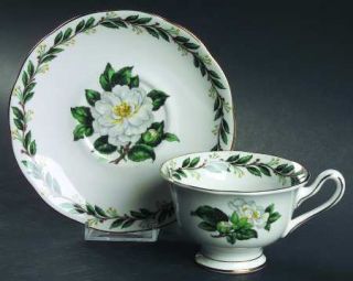 Royal Albert Lady Clare Footed Cup & Saucer Set, Fine China Dinnerware   White F