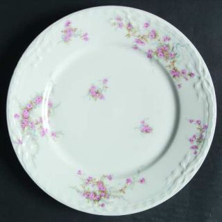 Haviland Schleiger 342 Dinner Plate, Fine China Dinnerware   Theo,Blank 124,Pink