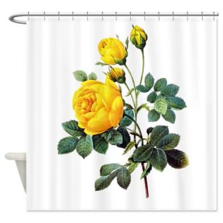 Pierre Joseph Redoute Rose Shower Curtain  Use code FREECART at Checkout