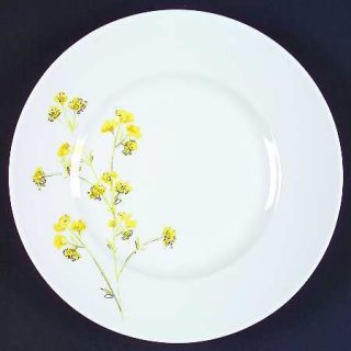 222 Fifth (PTS) Celeste Salad Plate, Fine China Dinnerware   Multicolor Flowers,