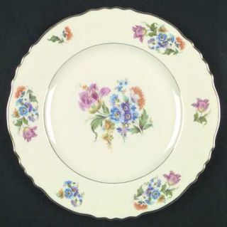 Aberdeen Abe3 Dinner Plate, Fine China Dinnerware   Floral Rim&Center,Ivory,Scal