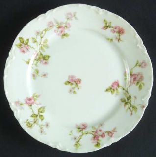 Haviland Frontenac (French) Bread & Butter Plate, Fine China Dinnerware   H&Co,B